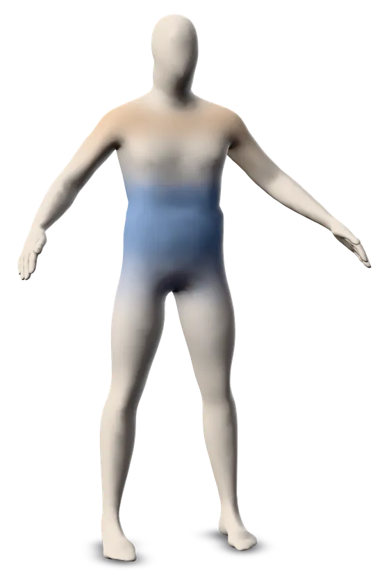 The male twin coloured by change: blue on the waist, belly and hips, amber on the shoulders and chest.